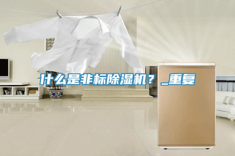 什么是非標(biāo)除濕機(jī)？_重復(fù)