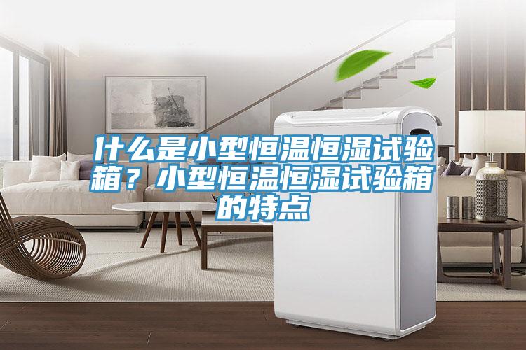 什么是小型恒溫恒濕試驗箱？小型恒溫恒濕試驗箱的特點