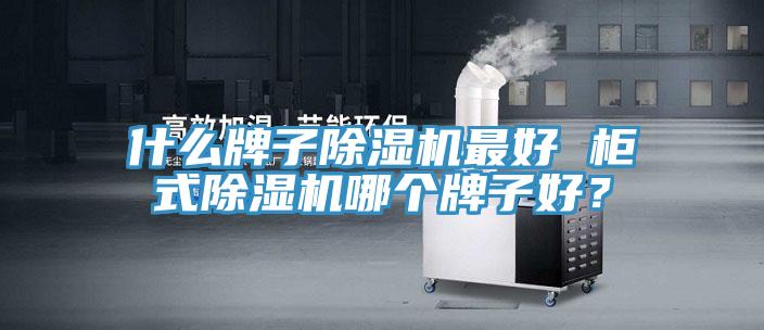 什么牌子除濕機(jī)最好 柜式除濕機(jī)哪個牌子好？