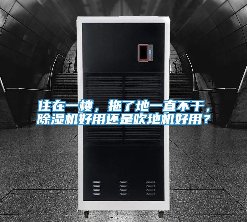 住在一樓，拖了地一直不干，除濕機(jī)好用還是吹地機(jī)好用？