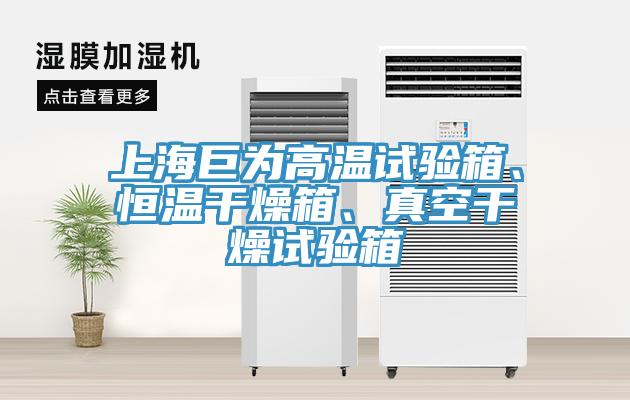 上海巨為高溫試驗(yàn)箱、恒溫干燥箱、真空干燥試驗(yàn)箱