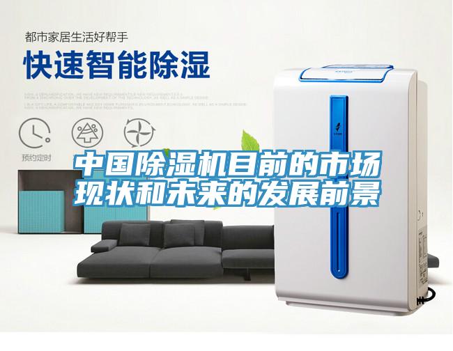 中國(guó)除濕機(jī)目前的市場(chǎng)現(xiàn)狀和未來的發(fā)展前景