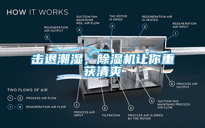 擊退潮濕，除濕機(jī)讓你重獲清爽