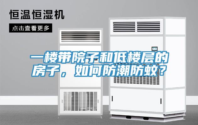 一樓帶院子和低樓層的房子，如何防潮防蚊？