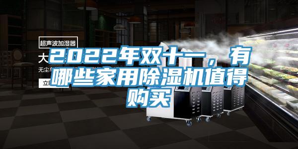 2022年雙十一，有哪些家用除濕機(jī)值得購(gòu)買(mǎi)