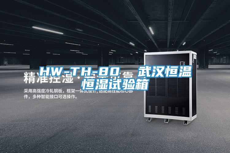 HW-TH-80 武漢恒溫恒濕試驗箱