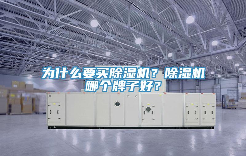 為什么要買除濕機(jī)？除濕機(jī)哪個(gè)牌子好？