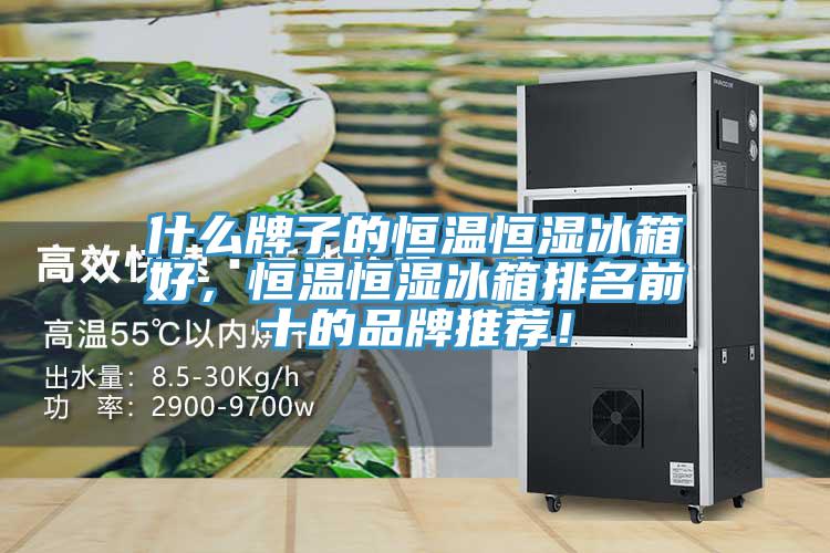 什么牌子的恒溫恒濕冰箱好，恒溫恒濕冰箱排名前十的品牌推薦！