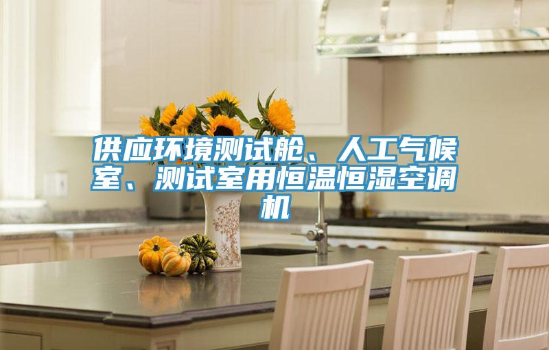 供應(yīng)環(huán)境測試艙、人工氣候室、測試室用恒溫恒濕空調(diào)機(jī)