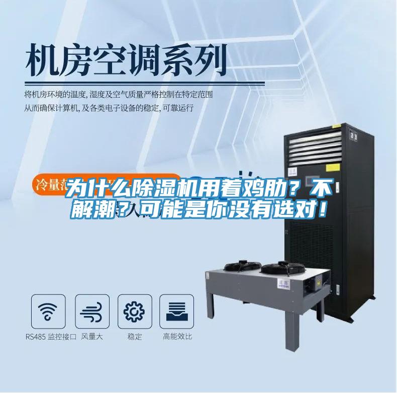 為什么除濕機用著雞肋？不解潮？可能是你沒有選對！