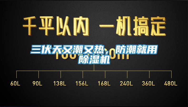 三伏天又潮又熱，防潮就用除濕機(jī)
