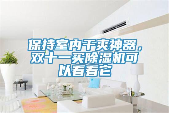 保持室內干爽神器，雙十一買除濕機可以看看它