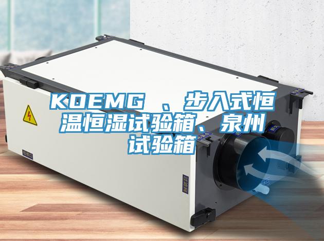 KOEMG 、步入式恒溫恒濕試驗箱、泉州試驗箱