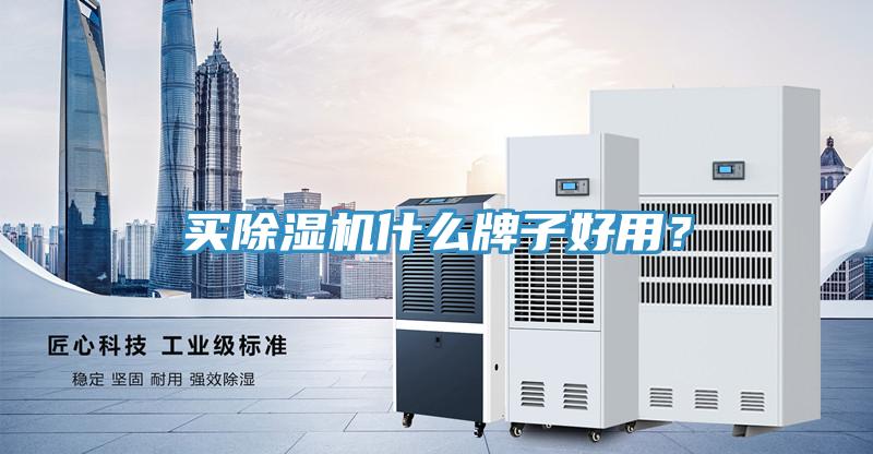買除濕機什么牌子好用？