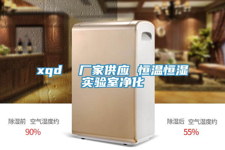 xqd 廠家供應(yīng) 恒溫恒濕實(shí)驗(yàn)室凈化