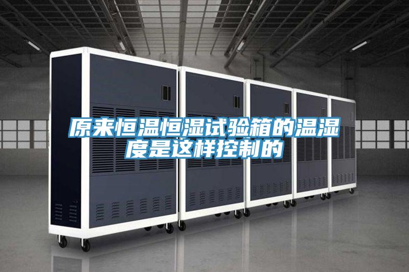 原來(lái)恒溫恒濕試驗(yàn)箱的溫濕度是這樣控制的