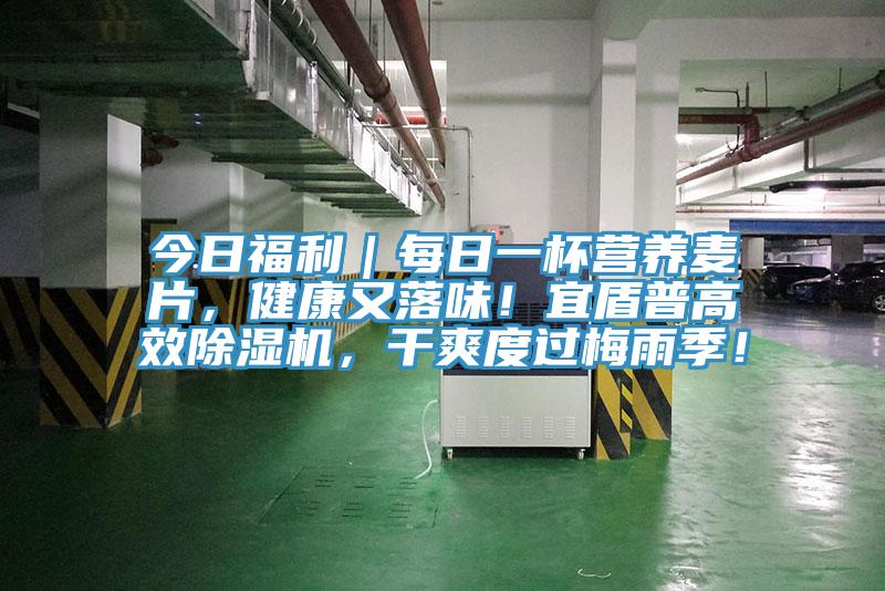 今日福利｜每日一杯營養(yǎng)麥片，健康又落味！宜盾普高效除濕機(jī)，干爽度過梅雨季！