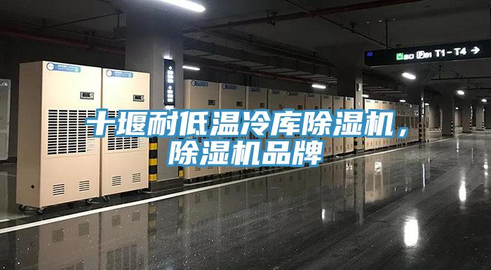 十堰耐低溫冷庫(kù)除濕機(jī)，除濕機(jī)品牌