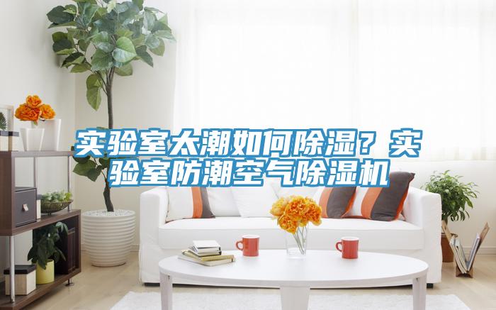 實(shí)驗(yàn)室太潮如何除濕？實(shí)驗(yàn)室防潮空氣除濕機(jī)