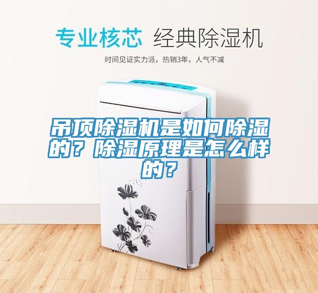 吊頂除濕機是如何除濕的？除濕原理是怎么樣的？