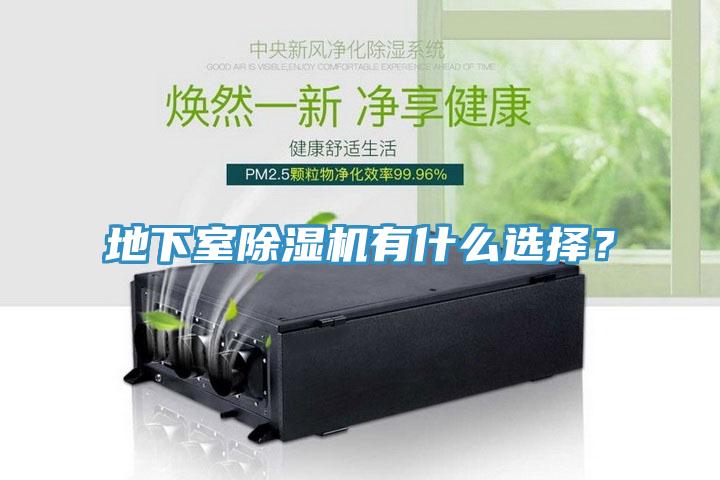 地下室除濕機(jī)有什么選擇？