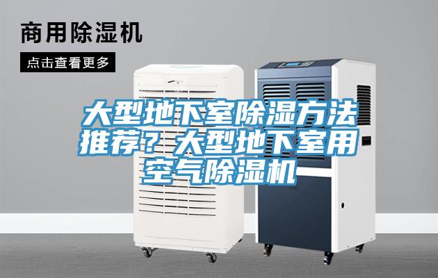 大型地下室除濕方法推薦？大型地下室用空氣除濕機(jī)