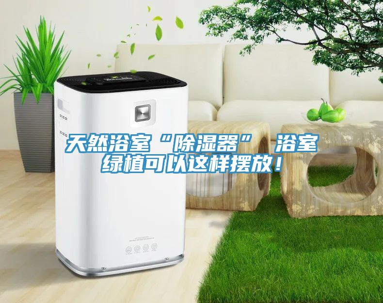 天然浴室“除濕器” 浴室綠植可以這樣擺放！