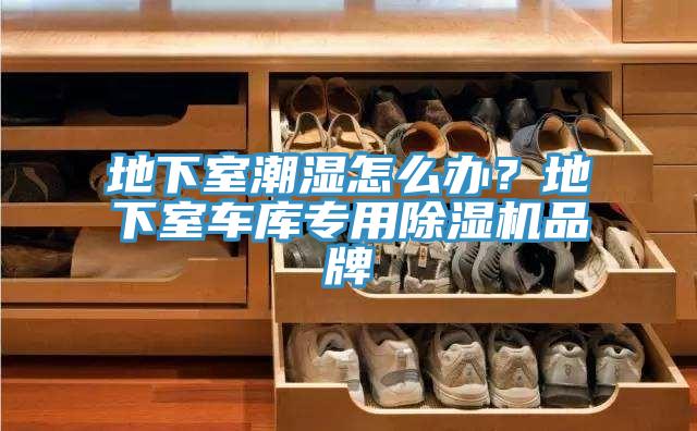 地下室潮濕怎么辦？地下室車庫專用除濕機(jī)品牌