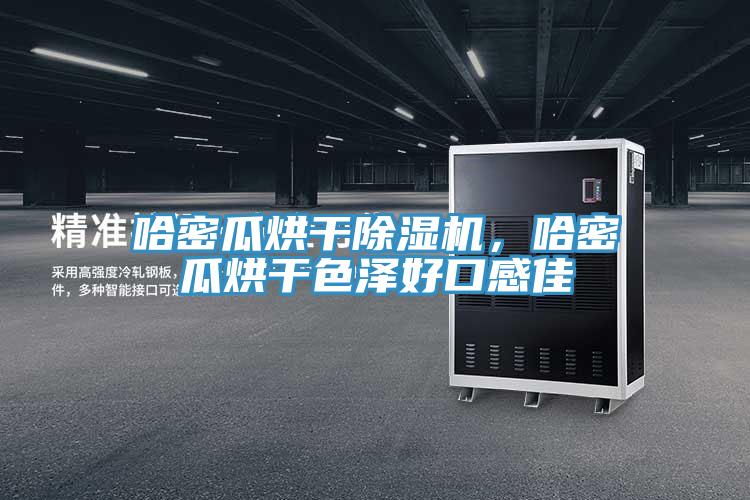 哈密瓜烘干除濕機，哈密瓜烘干色澤好口感佳