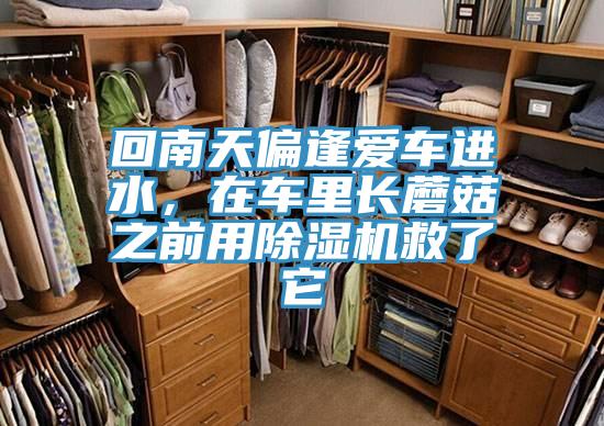 回南天偏逢愛車進水，在車里長蘑菇之前用除濕機救了它