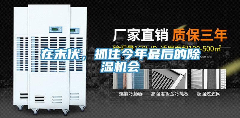 在末伏，抓住今年最后的除濕機(jī)會