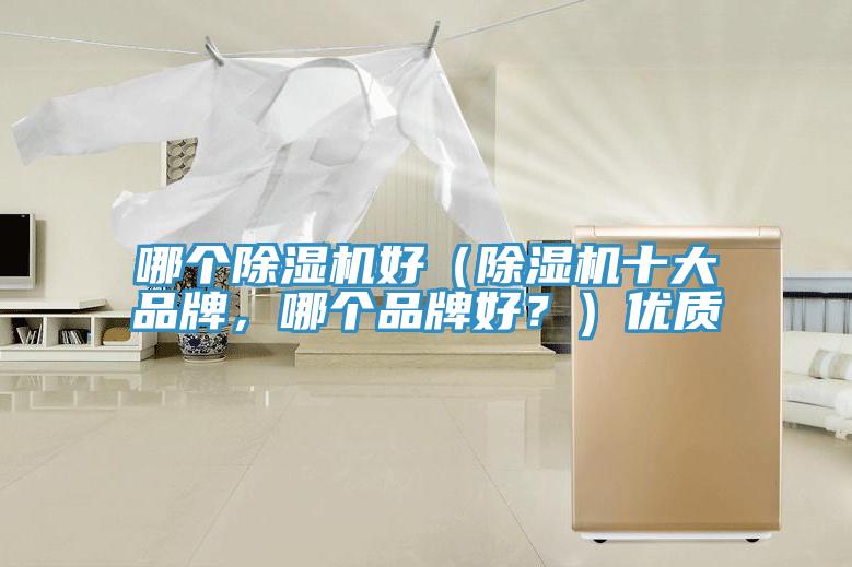 哪個(gè)除濕機(jī)好（除濕機(jī)十大品牌，哪個(gè)品牌好？）優(yōu)質(zhì)