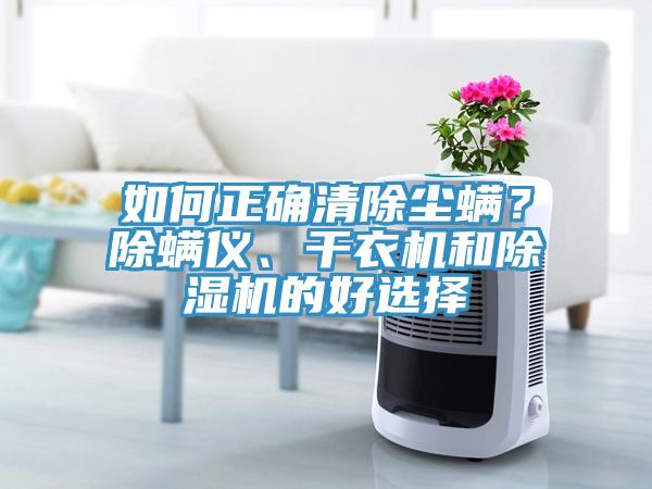 如何正確清除塵螨？除螨儀、干衣機(jī)和除濕機(jī)的好選擇