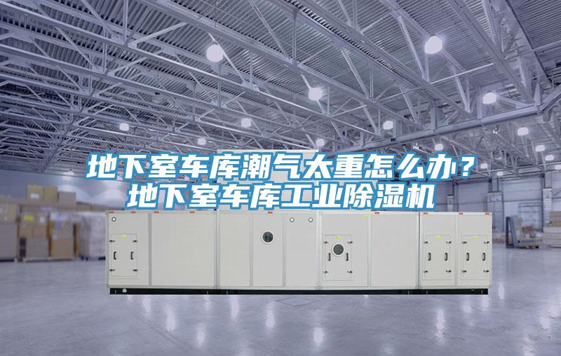 地下室車庫潮氣太重怎么辦？地下室車庫工業(yè)除濕機(jī)