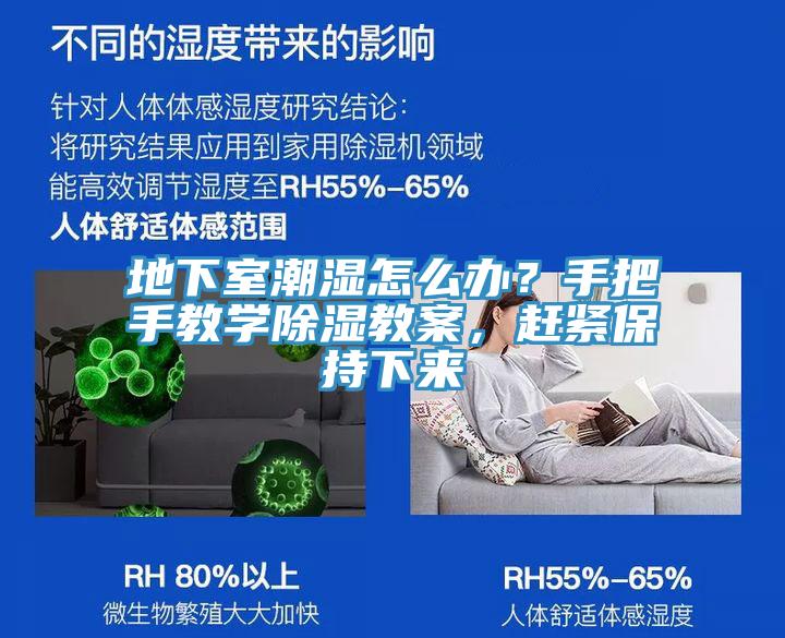 地下室潮濕怎么辦？手把手教學(xué)除濕教案，趕緊保持下來