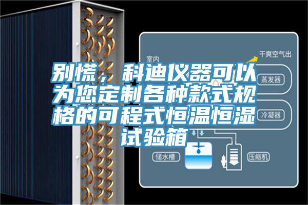 別慌，科迪儀器可以為您定制各種款式規(guī)格的可程式恒溫恒濕試驗箱