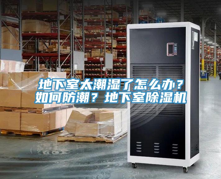 地下室太潮濕了怎么辦？如何防潮？地下室除濕機(jī)