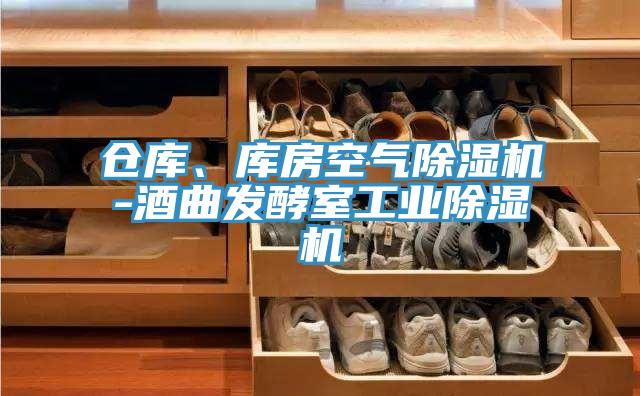 倉庫、庫房空氣除濕機-酒曲發(fā)酵室工業(yè)除濕機
