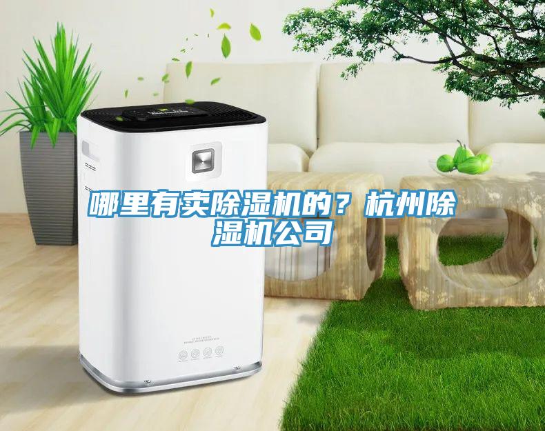 哪里有賣除濕機的？杭州除濕機公司