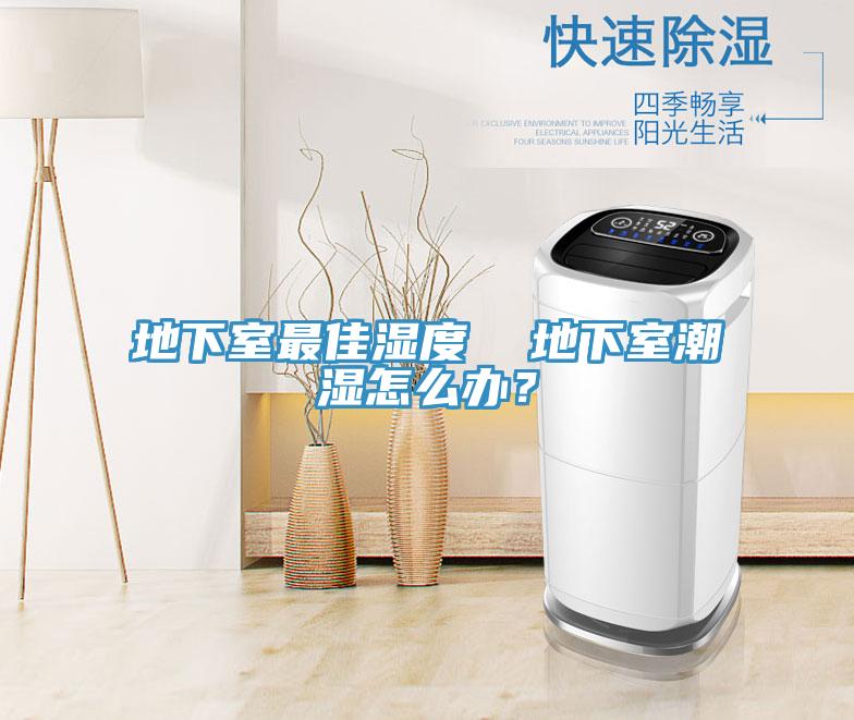 地下室最佳濕度  地下室潮濕怎么辦？
