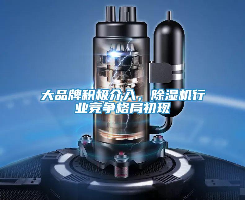 大品牌積極介入，除濕機(jī)行業(yè)競(jìng)爭(zhēng)格局初現(xiàn)