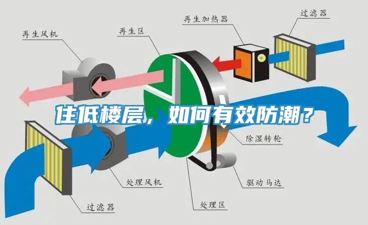 住低樓層，如何有效防潮？