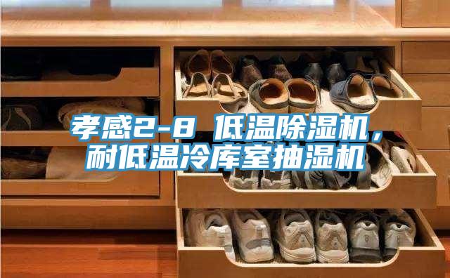 孝感2-8℃低溫除濕機，耐低溫冷庫室抽濕機