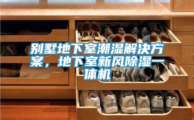 別墅地下室潮濕解決方案，地下室新風除濕一體機