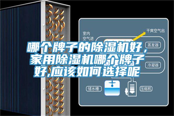 哪個牌子的除濕機好，家用除濕機哪個牌子好,應該如何選擇呢