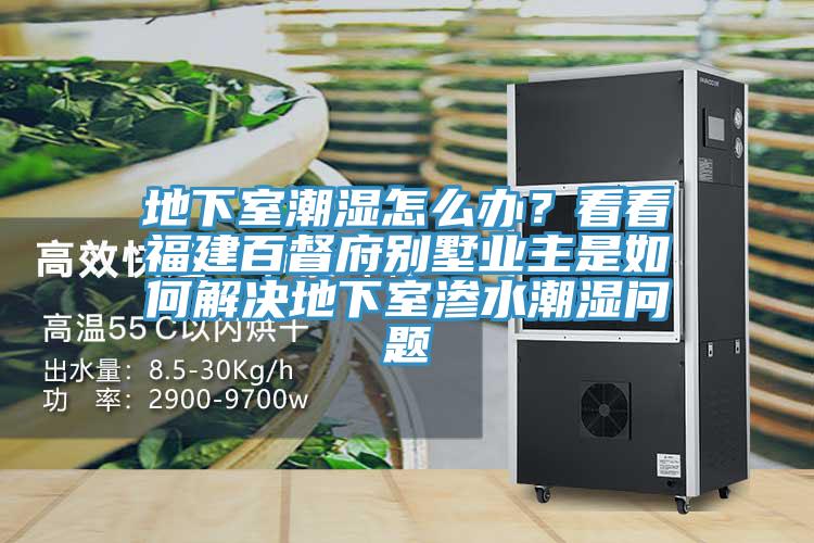 地下室潮濕怎么辦？看看福建百督府別墅業(yè)主是如何解決地下室滲水潮濕問題