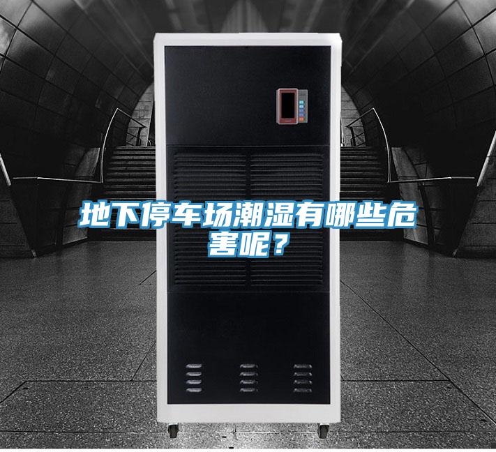 地下停車(chē)場(chǎng)潮濕有哪些危害呢？