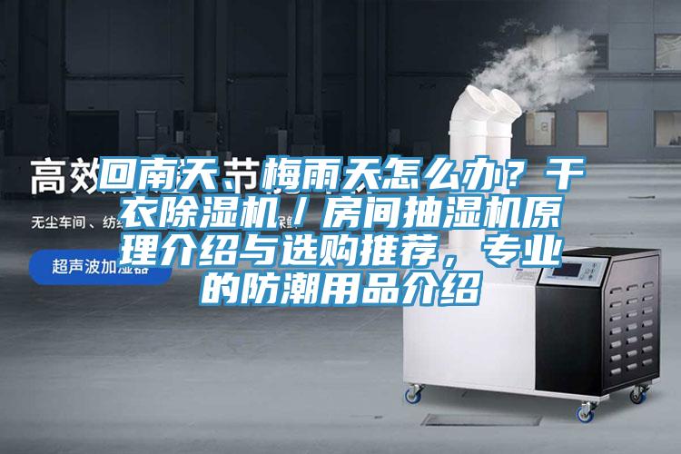 回南天、梅雨天怎么辦？干衣除濕機／房間抽濕機原理介紹與選購推薦，專業(yè)的防潮用品介紹