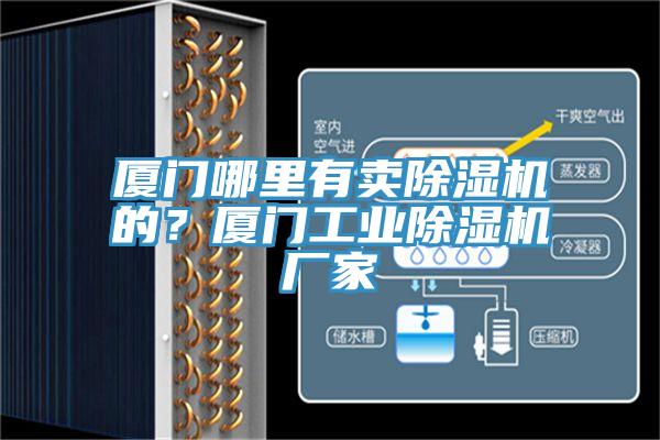 廈門哪里有賣除濕機(jī)的？廈門工業(yè)除濕機(jī)廠家
