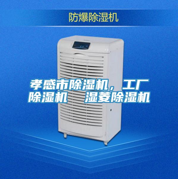 孝感市除濕機，工廠除濕機  濕菱除濕機